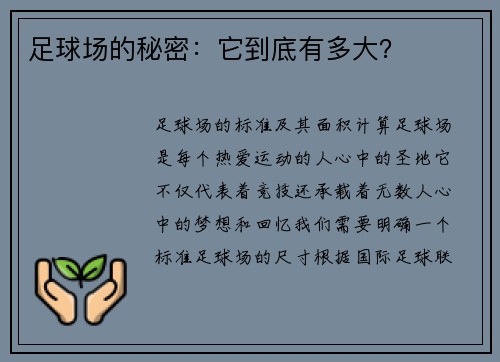 足球场的秘密：它到底有多大？